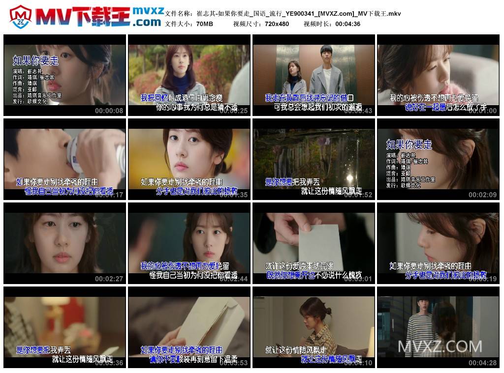 崔志其-如果你要走_国语_流行_YE900341